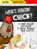 What's Hatchin' Chick? A Lil Unit About Chickens