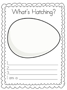 What's Hatching? by My First Love | Teachers Pay Teachers