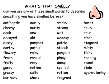 What's That Smell? - Word Wall with Smell/Scent Words by Stephen Wolfe