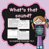 What's That Sound?! An interactive sound unit