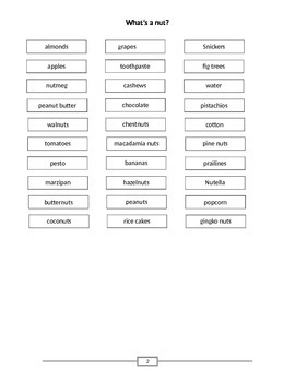 Preview of What's a Nut? Allergy Wordsheet