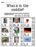 What's in the Middle Worksheet Pack