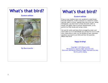 Preview of What's that Bird? Bird identification guide