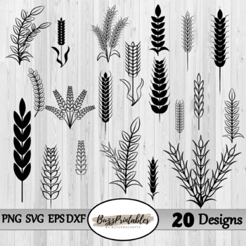 Download Wheat Clipart Worksheets Teaching Resources Teachers Pay Teachers