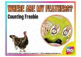 Where Are My Feathers? Counting Center