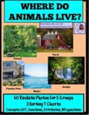 Animal Categories - Where Do Animals Live? Forest, Pets, F