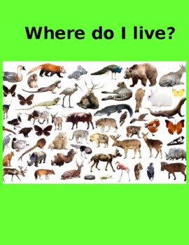 Preview of Where Do I Live? - Animal Homes