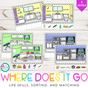 Preview of Life Skills - Where Does It Go? {matching, & classifying} for Special Education