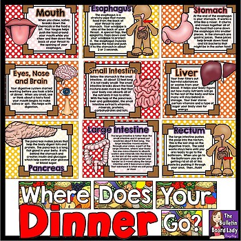 Preview of Where Does Your Dinner Go? Science Bulletin Board
