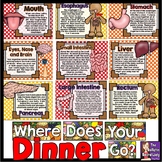 Where Does Your Dinner Go? Science Bulletin Board