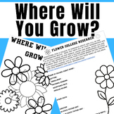 Where Will You Grow - College Project
