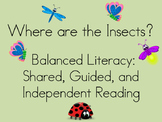 Where are the Insects? Balanced Literacy resources