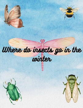 Preview of Where do Insects go in the winter