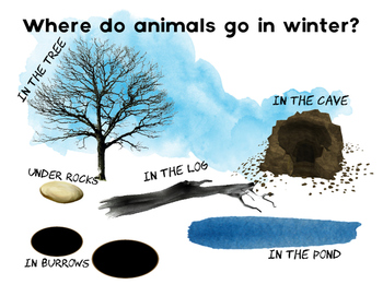 Preview of Where do animals go in Winter?