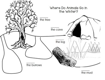 Where do animals go in winter? by Kinder Binder | TpT