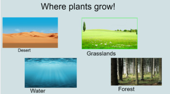 Preview of Where do plants grow?