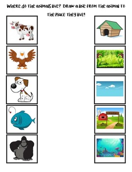 Where do the animals live? by Early Childhood Resource Center | TpT