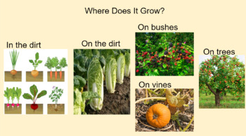 Preview of Where does it grow? Used with Up in the Garden Down in the Dirt by Kate Messner