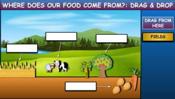 Where does our food come from?: Drag & Drop Worksheet: Google Slides + PPT