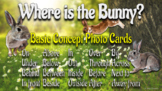 Where is Bunny? Basic Concepts (interactive, following dir