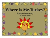 Where is Mr. Turkey: A Thanksgiving Preposition Story