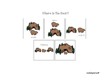 Preview of Where is the Bear?