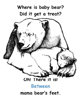 Preview of Where is the Bear a Positional Word Book for Preschoolers