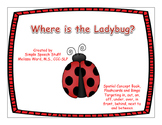 Where is the Ladybug? Spring Spatial Concept Book,Flashcar