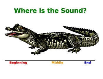 Where is the Sound? by SLP Resources | TPT