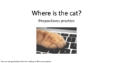 Where is the cat? ESL English Prepositions Speaking Practi