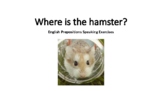 Where is the hamster? ESL Prepositions Speaking Practice