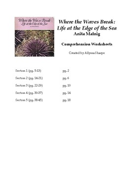 Preview of Where the Waves Break by Anita Malnig Comprehension Worksheets