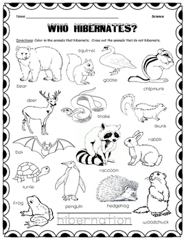 Preview of Which Animals Hibernate?