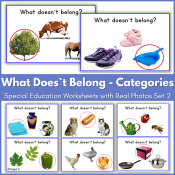 Preview of What Doesn't Belong? Categories Speech Therapy Worksheets Set 2