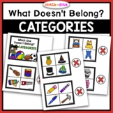 Which One Does Not Belong | Category Cards | Classificatio