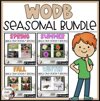 Preview of Which One Doesn't Belong Seasonal Bundle | WODB