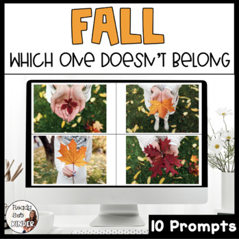 Preview of Which One Doesn't Belong | WODB Fall
