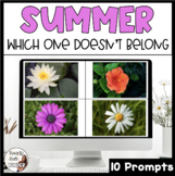 Which One Doesn't Belong | WODB Summer