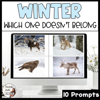 Preview of Which One Doesn't Belong | WODB Winter