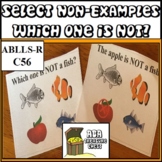 Which One is Not Selects Non Examples ABLLS-R C56 ABA Auti