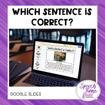 Preview of Which Sentence Is Correct? (Google Slides)