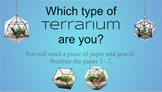 Which Type of Terrarium are You? Personality Quiz