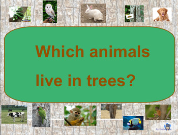 Which animals live in trees? - SMARTBOARD INTERACTIVE - by Captain Lina