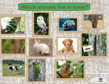 Which animals live in trees? - SMARTBOARD INTERACTIVE - by Captain Lina