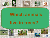 Which animals live in trees? - SMARTBOARD INTERACTIVE -