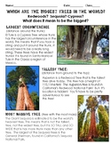 Which are the BIGGEST Trees in the World?  Nonfiction Scie