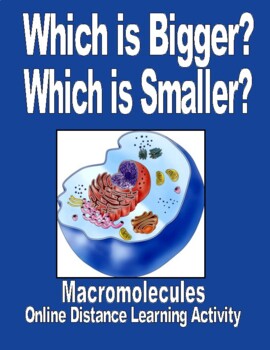 Preview of Cells and Macromolecules  WHICH IS BIGGER?  WHICH IS SMALLER?