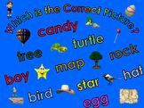 Which is the Correct Picture? - 250 Word Recognition Activity