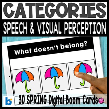 Preview of Which one Doesn't Belong Categories Sorting Objects Digital Boom Cards