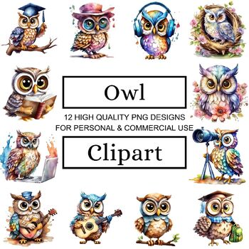 Preview of Whimsical Owl Clipart Collection - Cartoon Owl Illustrations